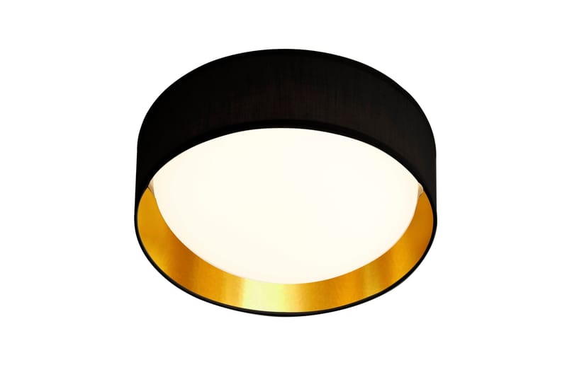 GIANNA Flush Taklampa 1L LED Light Akryl Svart - Searchlight - Kökslampa & pendellampa - Sovrumslampa - Fönsterlampa hängande