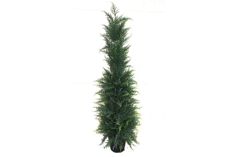 CYPRESS Konstgjord Växt  120cm - Konstgjorda växter