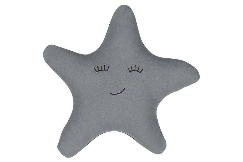 Prydnadskuddar Bhopal