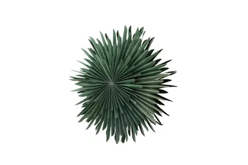 Sälen Adventsstjärna / Jullampa 60 cm - Grön - Belysning - Julbelysning
