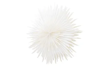 Sälen Adventsstjärna / Jullampa 100 cm - Vit - Belysning - Julbelysning