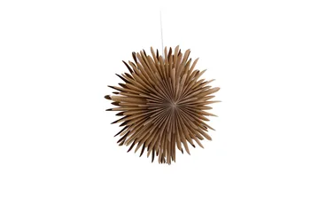 Sälen Adventsstjärna / Jullampa 35 cm - Brun - Belysning - Julbelysning