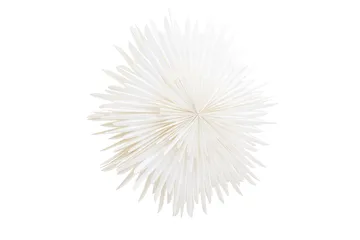Sälen Adventsstjärna / Jullampa 100 cm - Vit - Belysning - Julbelysning