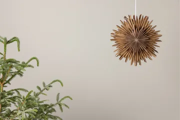 Sälen Adventsstjärna / Jullampa 35 cm - Brun - Belysning - Julbelysning