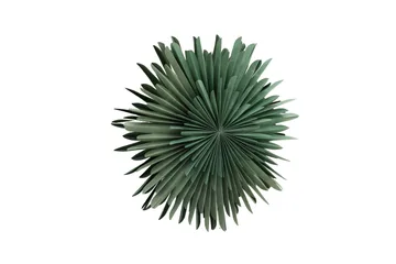 Sälen Adventsstjärna / Jullampa 80 cm - Grön - Belysning - Julbelysning