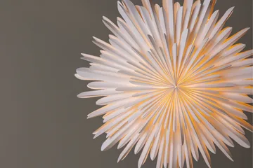 Sälen Adventsstjärna / Jullampa 60 cm - Vit - Belysning - Julbelysning
