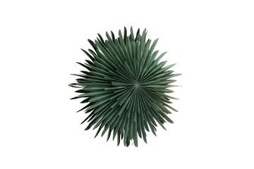 Sälen Adventsstjärna / Jullampa 60 cm - Grön - Belysning - Julbelysning