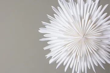 Sälen Adventsstjärna / Jullampa 60 cm - Vit - Belysning - Julbelysning