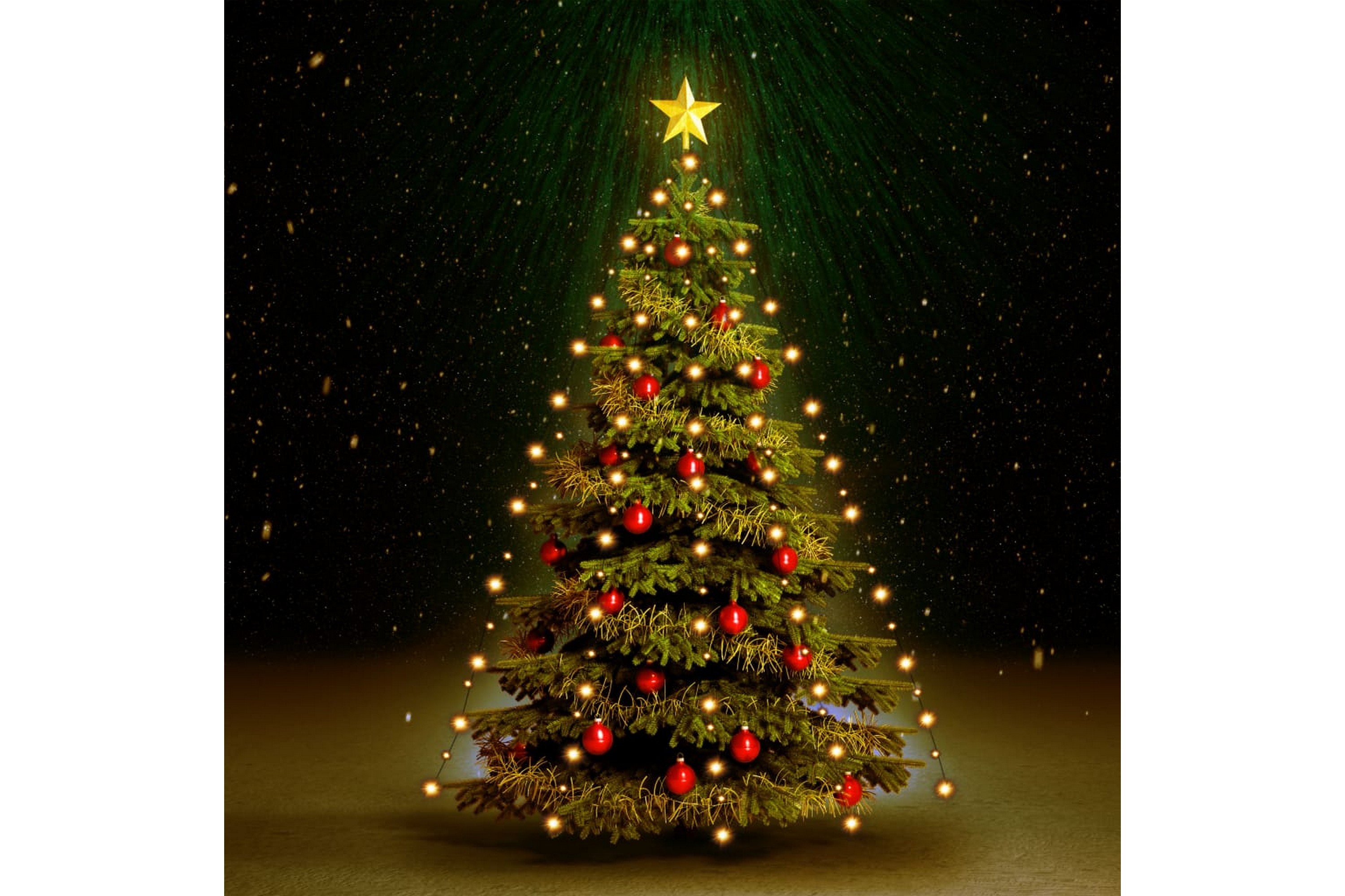Ljusnät för julgran 210 LED 210 cm – Vit