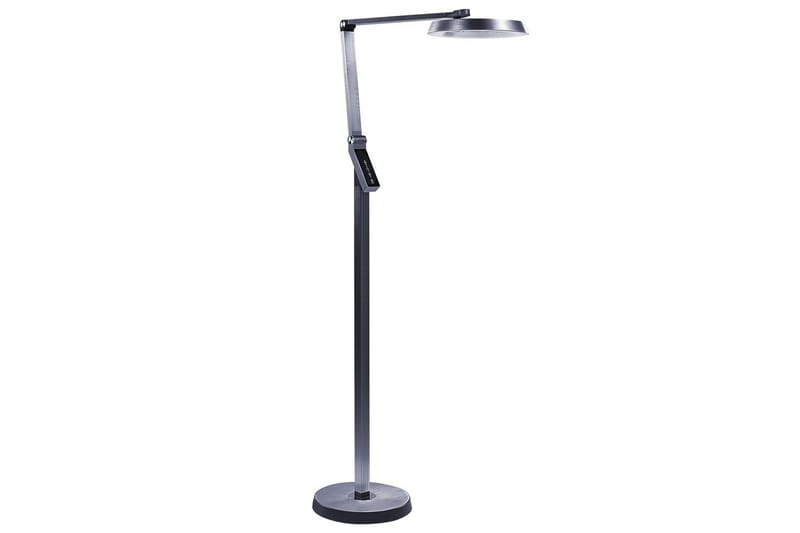 Anticar LED Golvlampa 170 cm, Mörkgrå