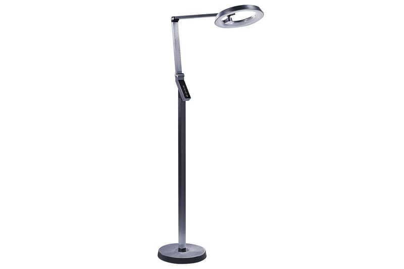 Anticar LED Golvlampa 170 cm - Mörkgrå - Belysning - Inomhusbelysning & lampor - Golvlampor & golvbelysning
