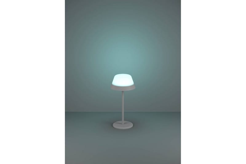 Bordslampa Eglo Meggiano Grå/Vit - Grå/Vit - Belysning - Inomhusbelysning & lampor - Fönsterlampor & fönsterbelysning - Fönsterlampa på fot