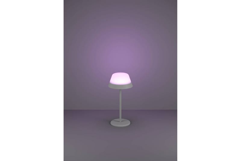 Bordslampa Eglo Meggiano Grå/Vit - Grå/Vit - Belysning - Inomhusbelysning & lampor - Fönsterlampor & fönsterbelysning - Fönsterlampa på fot