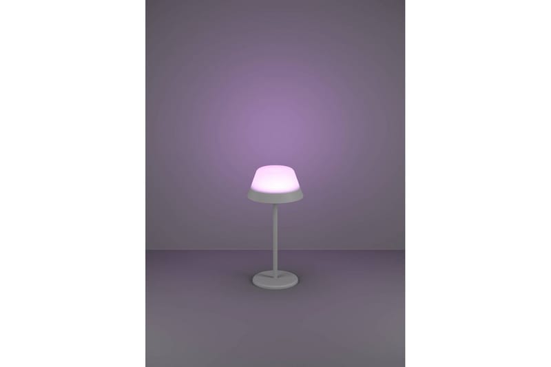 Bordslampa Eglo Meggiano Grå/Vit - Grå/Vit - Belysning - Inomhusbelysning & lampor - Fönsterlampor & fönsterbelysning - Fönsterlampa på fot