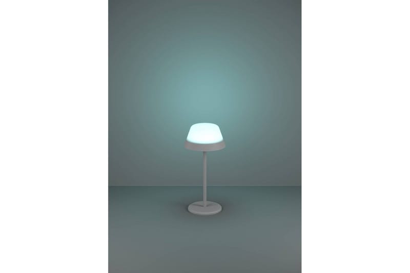 Bordslampa Eglo Meggiano Grå/Vit - Grå/Vit - Belysning - Inomhusbelysning & lampor - Fönsterlampor & fönsterbelysning - Fönsterlampa på fot