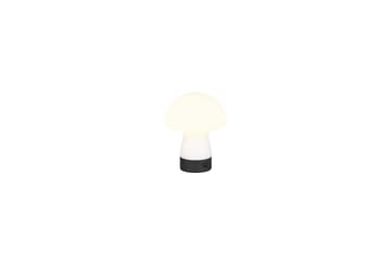 Bordslampa TRIO Dooley Mattvit