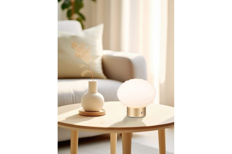 Bordslampa TRIO Earl Mattmässing/vit - Mattmässing/vit - Belysning - Inomhusbelysning & lampor - Fönsterlampor & fönsterbelysning - Fönsterlampa på fot