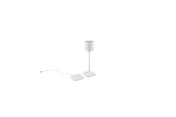 Bordslampa TRIO Fernandez Mattvit
