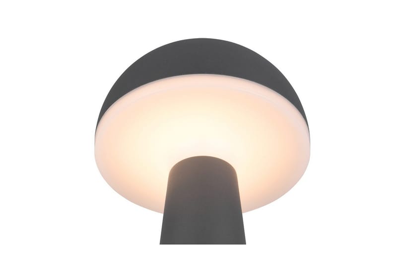 Bordslampa TRIO Fungo Antracit - Antracit - Belysning - Inomhusbelysning & lampor - Fönsterlampor & fönsterbelysning - Fönsterlampa på fot