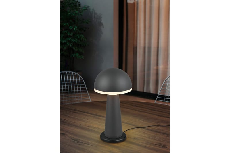 Bordslampa TRIO Fungo Antracit - Antracit - Belysning - Inomhusbelysning & lampor - Fönsterlampor & fönsterbelysning - Fönsterlampa på fot