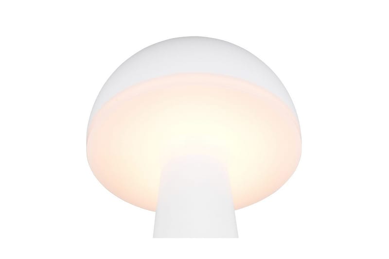 Bordslampa TRIO Fungo Mattvit - Mattvit - Belysning - Inomhusbelysning & lampor - Fönsterlampor & fönsterbelysning - Fönsterlampa på fot
