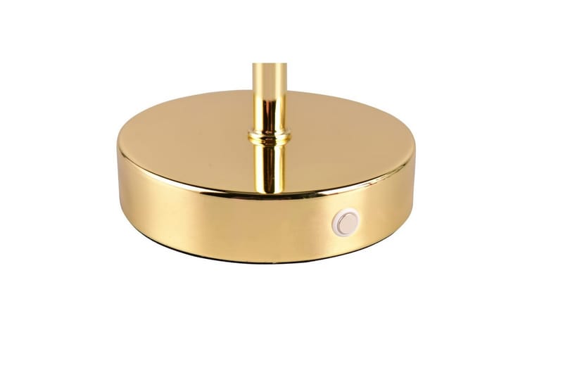 Bordslampa TRIO Jeff Polerad mässing - Polerad mässing - Belysning - Inomhusbelysning & lampor - Fönsterlampor & fönsterbelysning - Fönsterlampa på fot