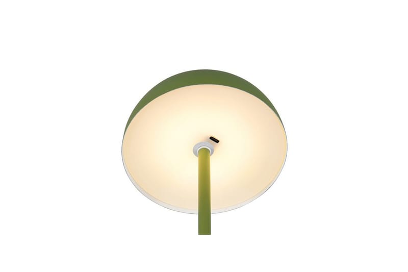 Bordslampa TRIO Munoz Grön - Grön - Belysning - Inomhusbelysning & lampor - Fönsterlampor & fönsterbelysning - Fönsterlampa på fot