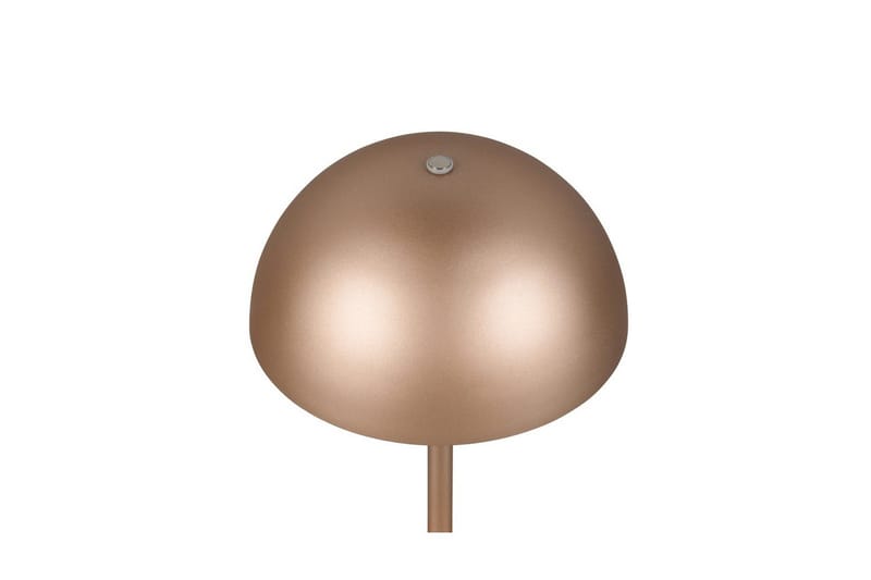 Bordslampa TRIO Munoz Kaffebrun - Kaffebrun - Belysning - Inomhusbelysning & lampor - Fönsterlampor & fönsterbelysning - Fönsterlampa på fot