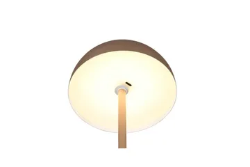 Bordslampa TRIO Munoz Kaffebrun - Kaffebrun - Belysning - Inomhusbelysning & lampor - Fönsterlampor & fönsterbelysning - Fönsterlampa på fot