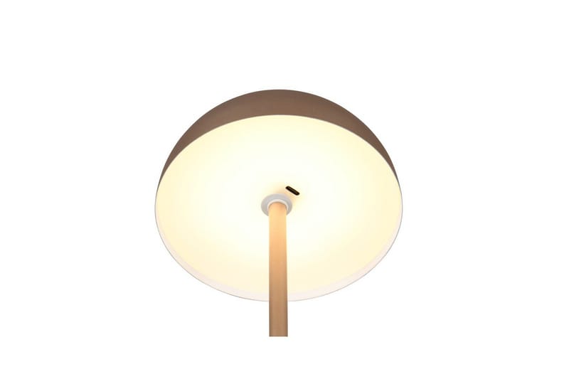 Bordslampa TRIO Munoz Kaffebrun - Kaffebrun - Belysning - Inomhusbelysning & lampor - Fönsterlampor & fönsterbelysning - Fönsterlampa på fot