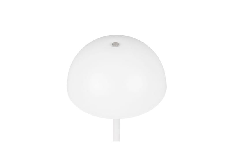 Bordslampa TRIO Munoz Mattvit - Mattvit - Belysning - Inomhusbelysning & lampor - Fönsterlampor & fönsterbelysning - Fönsterlampa på fot