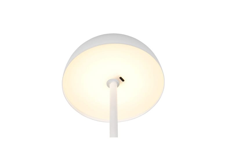 Bordslampa TRIO Munoz Mattvit - Mattvit - Belysning - Inomhusbelysning & lampor - Fönsterlampor & fönsterbelysning - Fönsterlampa på fot
