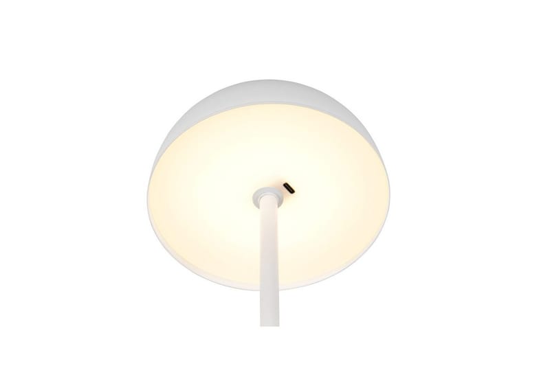 Bordslampa TRIO Munoz Mattvit - Mattvit - Belysning - Inomhusbelysning & lampor - Fönsterlampor & fönsterbelysning - Fönsterlampa på fot