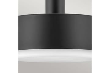 Cedric Hinkley Taklampa - Brass - Belysning - Inomhusbelysning & lampor - Fönsterlampor & fönsterbelysning - Fönsterlampa hängande