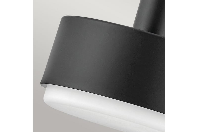 Cedric Hinkley Taklampa - Brass - Belysning - Inomhusbelysning & lampor - Fönsterlampor & fönsterbelysning - Fönsterlampa hängande