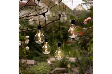 Enni Just Light Taklampa - Black - Belysning - Inomhusbelysning & lampor - Fönsterlampor & fönsterbelysning - Fönsterlampa hängande