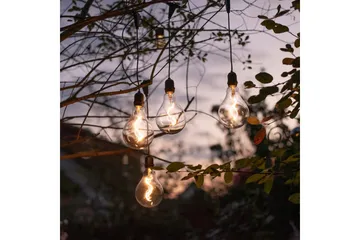 Enni Just Light Taklampa - Black - Belysning - Inomhusbelysning & lampor - Fönsterlampor & fönsterbelysning - Fönsterlampa hängande