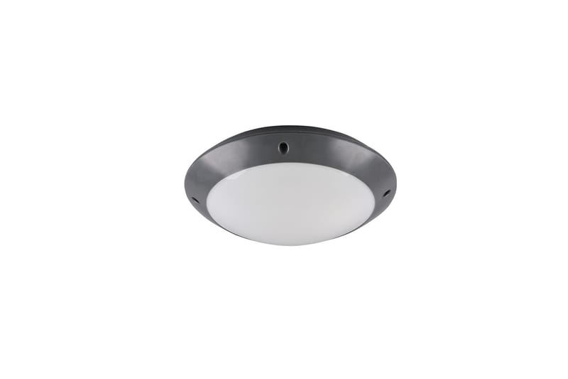 CAMARO Taklampa - Antracit - Belysning - Inomhusbelysning & lampor - Fönsterlampor & fönsterbelysning - Fönsterlampa hängande