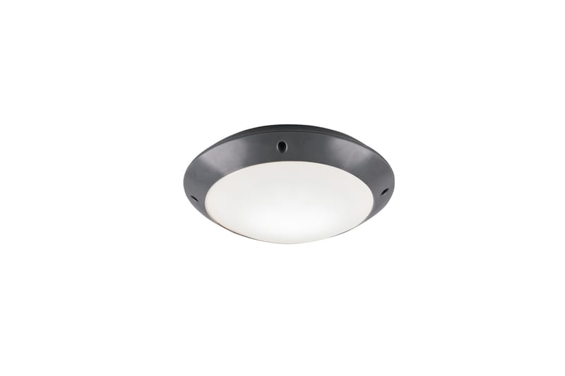 Camaro Plafond 26cm E27 antracit, Antracit