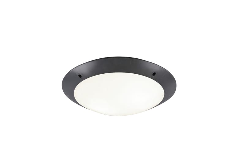 Camaro Plafond 33cm 2L E27 antracit, Antracit