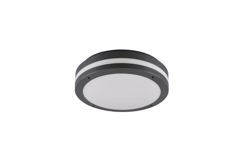Kendal LED Plafond antracit - Vit - Belysning - Inomhusbelysning & lampor - Fönsterlampor & fönsterbelysning - Fönsterlampa hängande