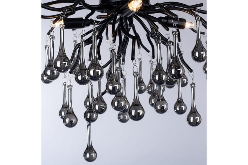 Istapp Paul Neuhaus Taklampa - Black - Belysning - Inomhusbelysning & lampor - Fönsterlampor & fönsterbelysning - Fönsterlampa hängande