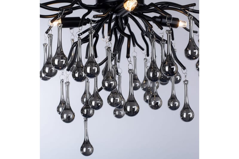 Istapp Paul Neuhaus Taklampa - Black - Belysning - Inomhusbelysning & lampor - Fönsterlampor & fönsterbelysning - Fönsterlampa hängande