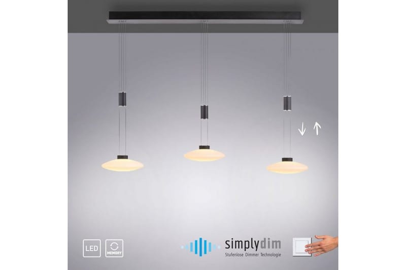 Lautada Paul Neuhaus Taklampa - Black - Belysning - Inomhusbelysning & lampor - Fönsterlampor & fönsterbelysning - Fönsterlampa hängande