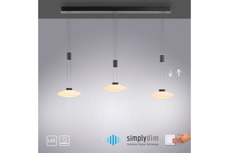 Lautada Paul Neuhaus Taklampa - Black - Belysning - Inomhusbelysning & lampor - Fönsterlampor & fönsterbelysning - Fönsterlampa hängande