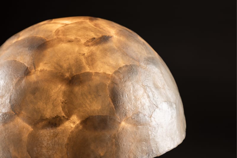 Lindön Bordslampa 48 cm - Ljusgrå - Belysning - Inomhusbelysning & lampor - Fönsterlampor & fönsterbelysning - Fönsterlampa på fot