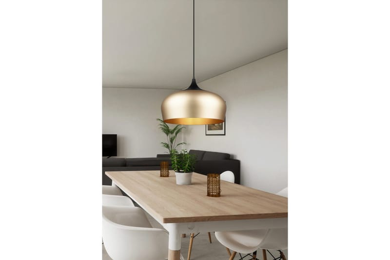 Pendel TRIO Chiron - Belysning - Inomhusbelysning & lampor - Fönsterlampor & fönsterbelysning - Fönsterlampa hängande