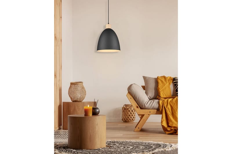 Pendel TRIO Jagger Mattsvart - Mattsvart - Belysning - Inomhusbelysning & lampor - Fönsterlampor & fönsterbelysning - Fönsterlampa hängande