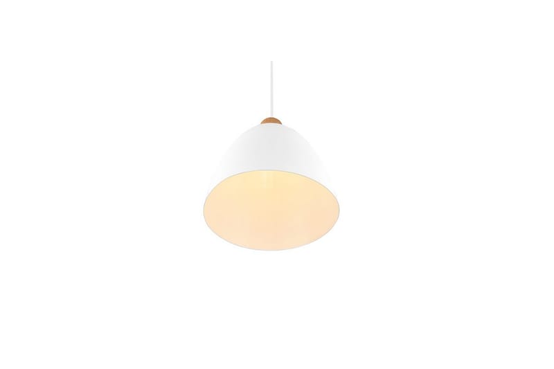 Pendel TRIO Jagger Mattvit - Mattvit - Belysning - Inomhusbelysning & lampor - Fönsterlampor & fönsterbelysning - Fönsterlampa hängande