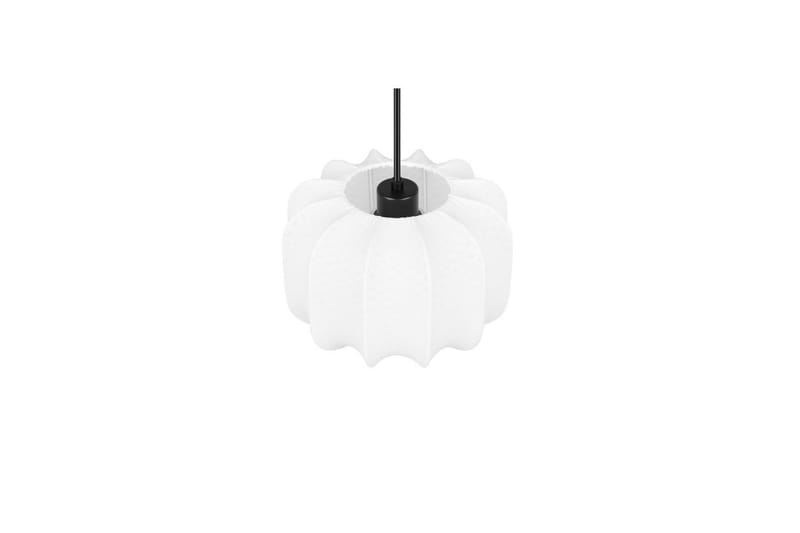 Pendel TRIO Madeline 25 cm - 25 cm - Belysning - Inomhusbelysning & lampor - Fönsterlampor & fönsterbelysning - Fönsterlampa hängande